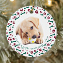 Search for bone christmas tree decorations Zpet