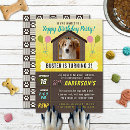 Search for puppy 1st birthday invitations Paws
