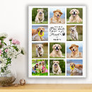 Search for memorial posters canvas prints In loving memory