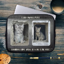 Search for photo laptop cases cat