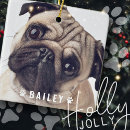 Search for funny family christmas tree decorations Dog