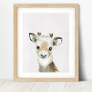 Search for reindeer gifts Animals