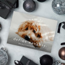 Search for funny pet christmas cards Simple