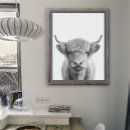 Search for highland posters Animal