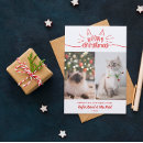 Search for feline christmas cards Red
