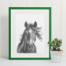 Search for horse heads posters Animal
