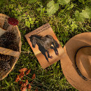 Search for horses galloping postcards Animals