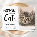 Search for cat moving announcement cards New address
