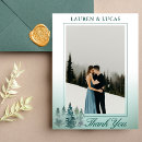Search for forest of trees cards Pine