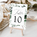 Search for fern table cards Greenery