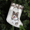 Search for brown dog christmas stockings Pet photo