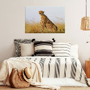 Search for cheetah cat posters Wildlife