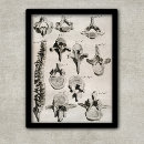 Search for column posters Illustration