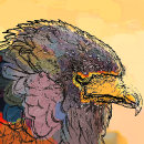 Search for hawk mouse mats Bird of prey