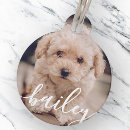 Search for photo pet tags Create your own