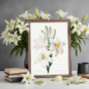 Search for redouté posters Botanical