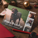 Search for cat family christmas cards Dog