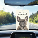 Search for cat car air fresheners Dog