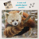 Search for red panda puzzles Nature
