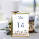 Search for field table cards Wildflowers