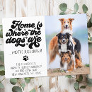 Search for funny moving announcement cards Pet