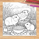 Search for cute guinea pig posters Pet