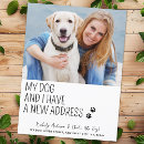 Search for dogs pets invitations Dog lover