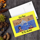 Search for beach cat postcards Ocean