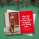Search for funny dog picture postcards Cute