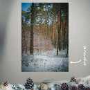 Search for cold season posters Winter wonderland