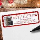 Search for kitty return address labels Lights