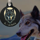 Search for wolfdog Wolves