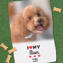 Search for sporting dogs Tennis