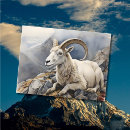 Search for watercolor pictures postcards Nature