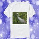 Search for sandhill crane tshirts Nature