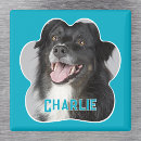 Search for pet photo magnets Unique