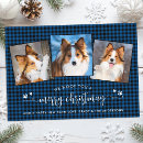 Search for woof christmas cards Pet