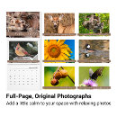 Search for backyard photography Bird