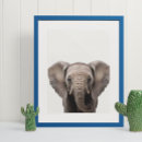 Search for elephant decor nursery posters Safari