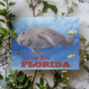 Search for florida postcards Watercolor