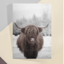 Search for cattle farming postcards Cow