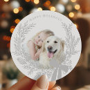 Search for silver bow stickers Cute