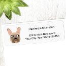 Search for fawns return address labels Animal