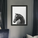 Search for black and white horse posters Modern