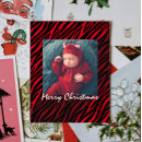 Search for animal prints postcards Cute