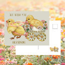 Search for grandson easter cards Chick