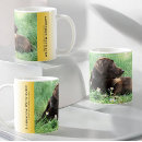Search for chocolate flower mugs Brown