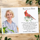 Search for cardinal photo cards Celebration of life