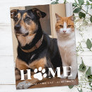 Search for paw print invitations New address