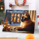 Search for cat in window christmas cards Cute